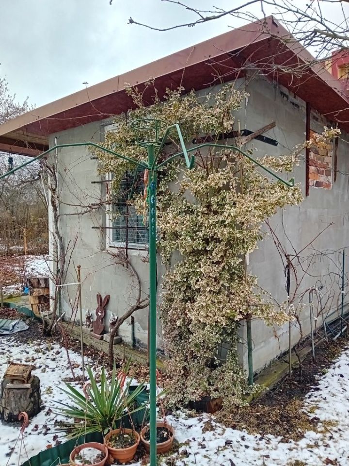 Działka rod Lubsko. Zdjęcie 5