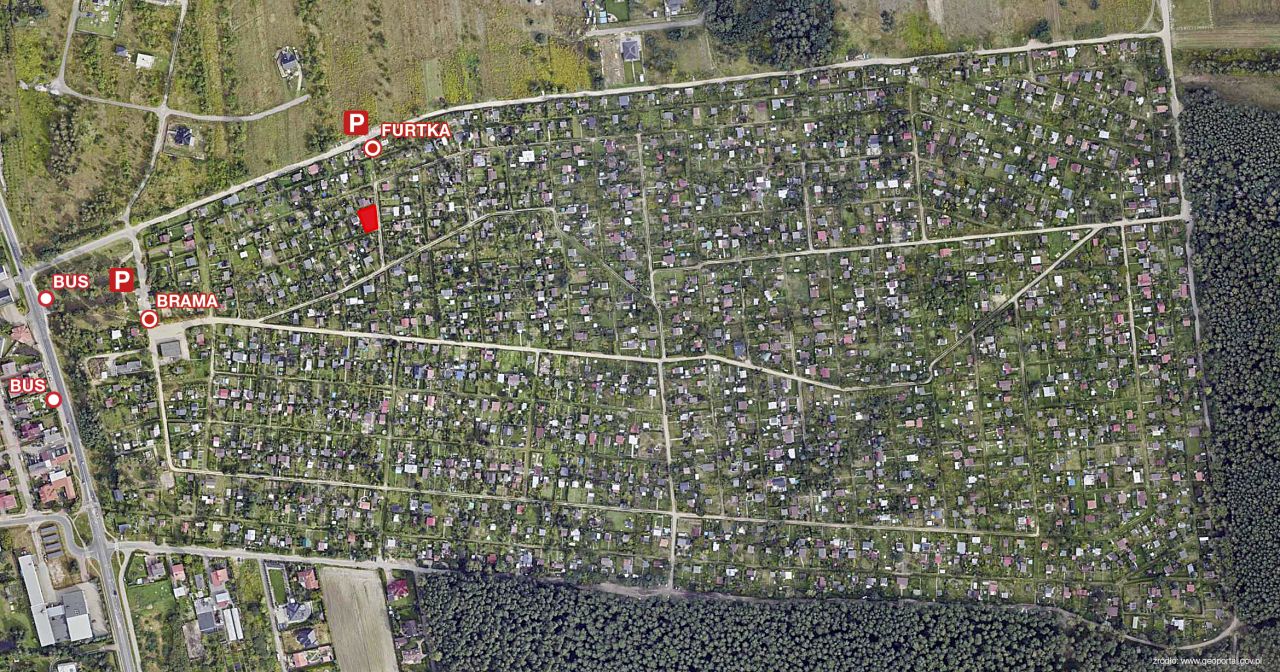 Działka rod Konin Wilków, ul. Świętojańska. Zdjęcie 1