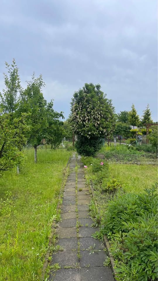 Działka rod Głogów, ul. Kwiatowa. Zdjęcie 7