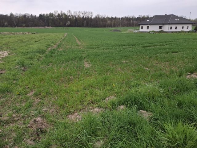 Działka budowlana Bojszów. Zdjęcie 1