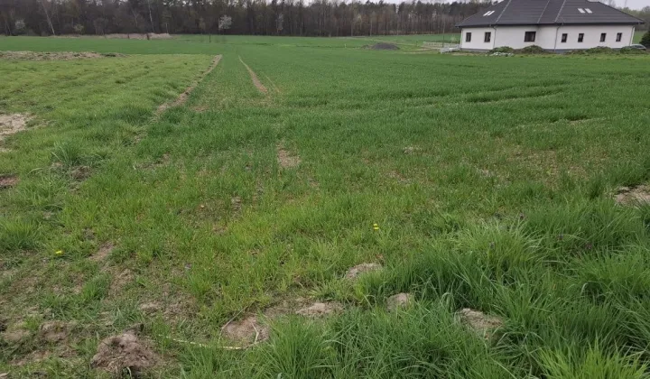 Działka budowlana Bojszów