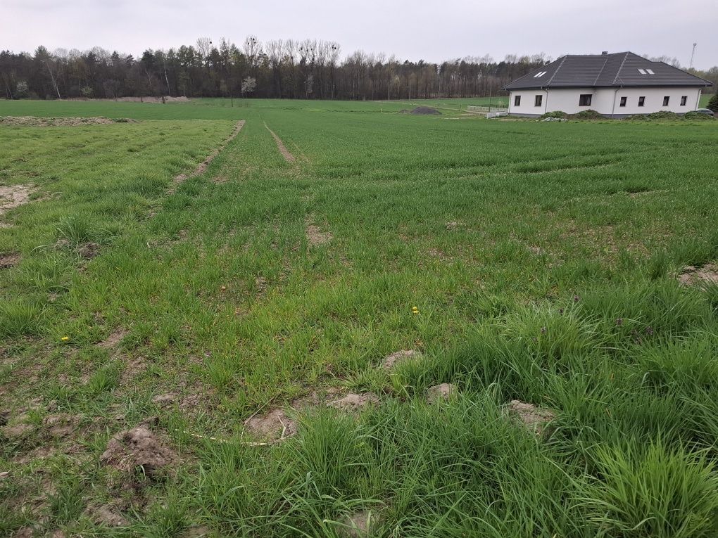 Działka budowlana Bojszów. Zdjęcie 1