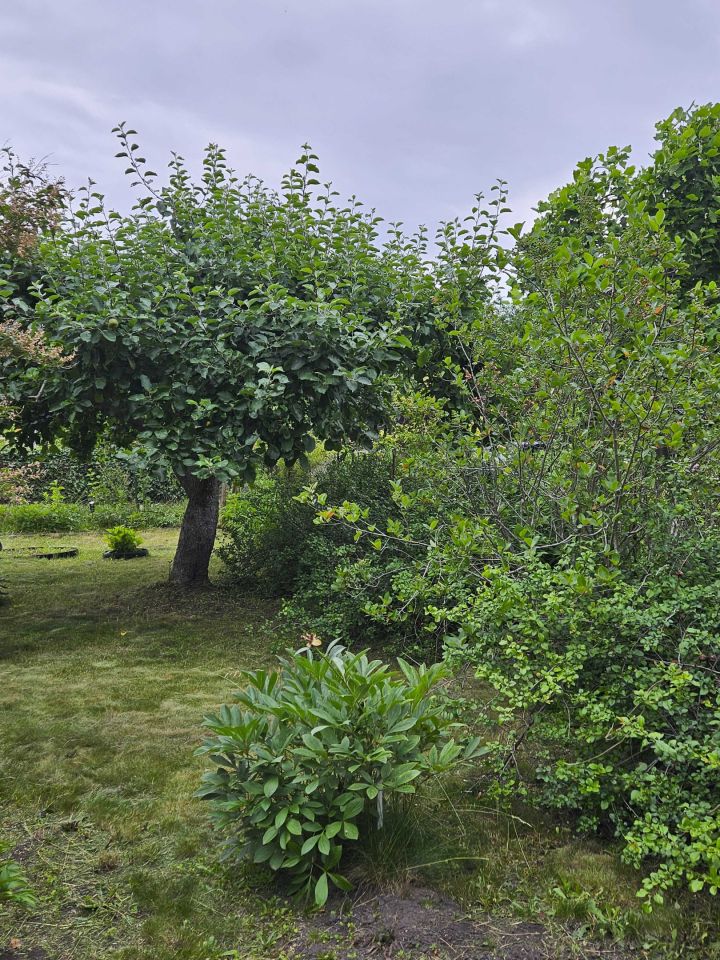 Działka rod Warszawa. Zdjęcie 2