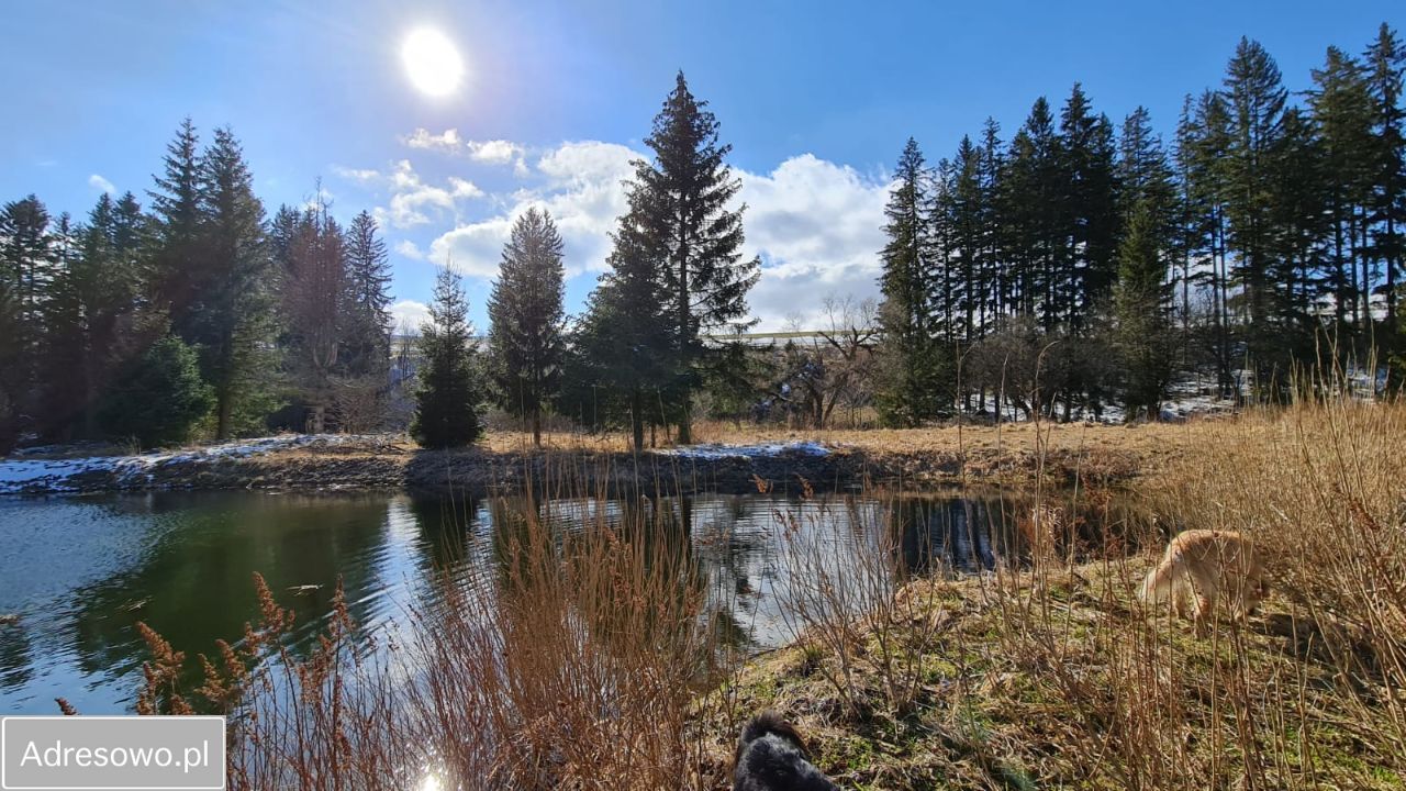 Działka rekreacyjna Piaskowice. Zdjęcie 9