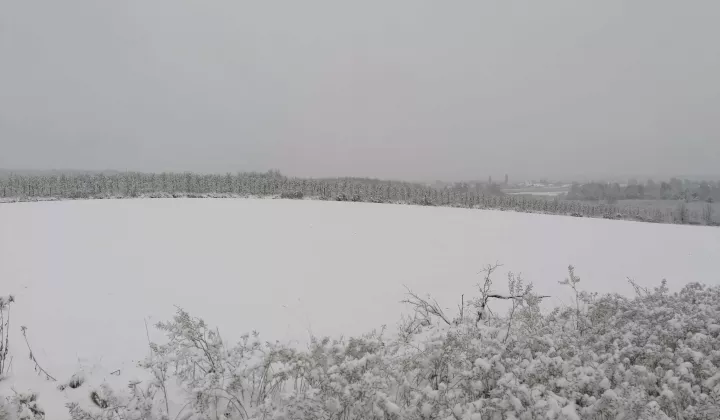 dom wolnostojący, 3 pokoje Zawichost
