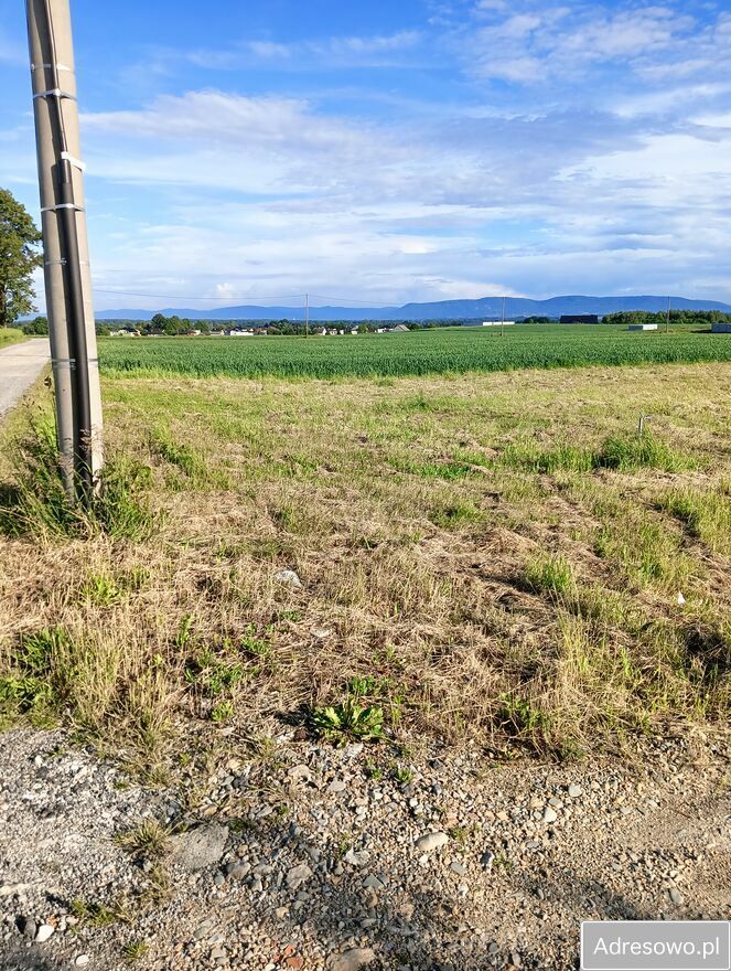 Działka budowlana Góra. Zdjęcie 4