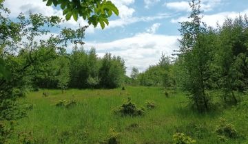 Działka rolna Binowo