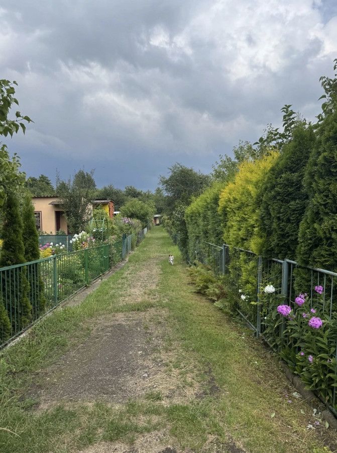 Działka rod Kraków Nowa Huta, ul. Melchiora Wańkowicza. Zdjęcie 8