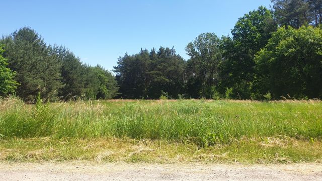 Działka budowlana Bartodzieje. Zdjęcie 1