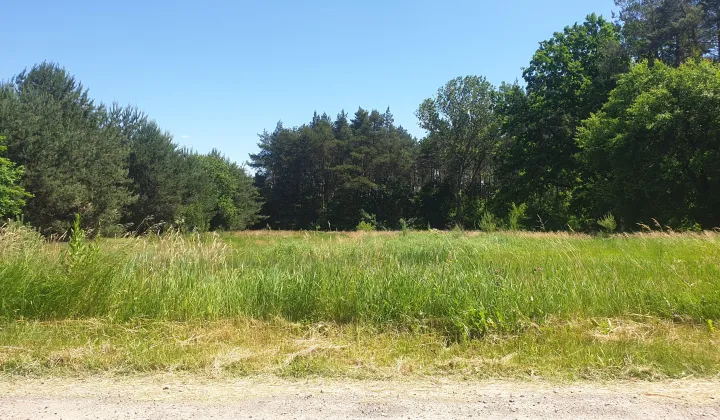 Działka budowlana Bartodzieje