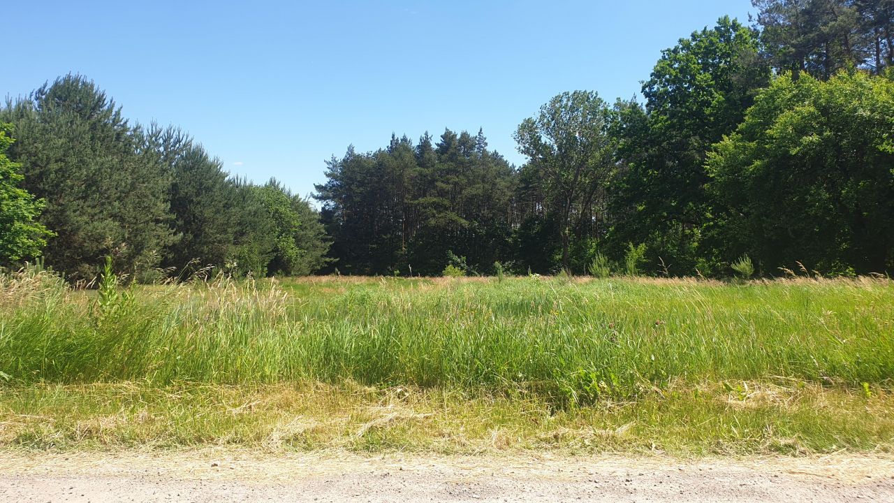 Działka budowlana Bartodzieje