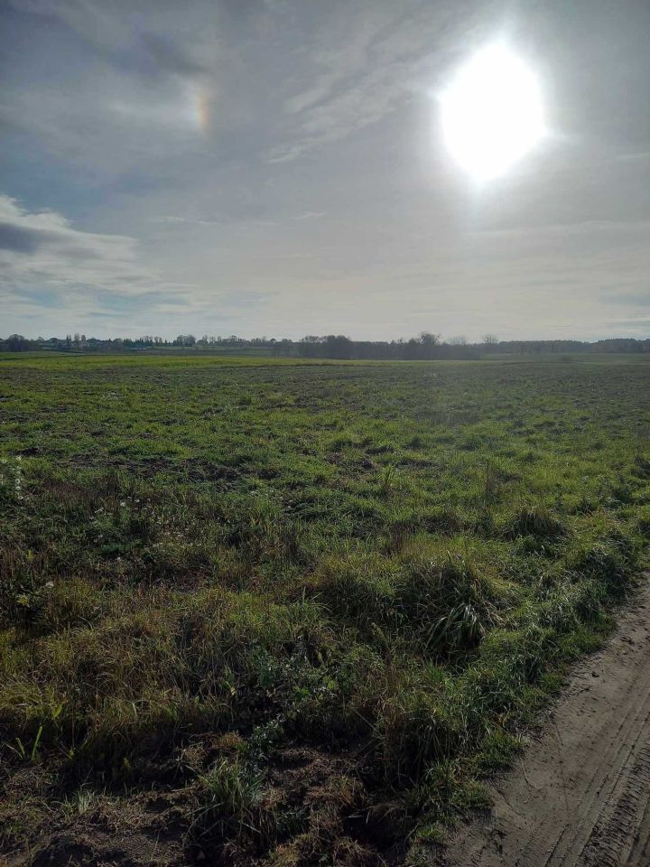 Działka budowlana Ciche. Zdjęcie 4