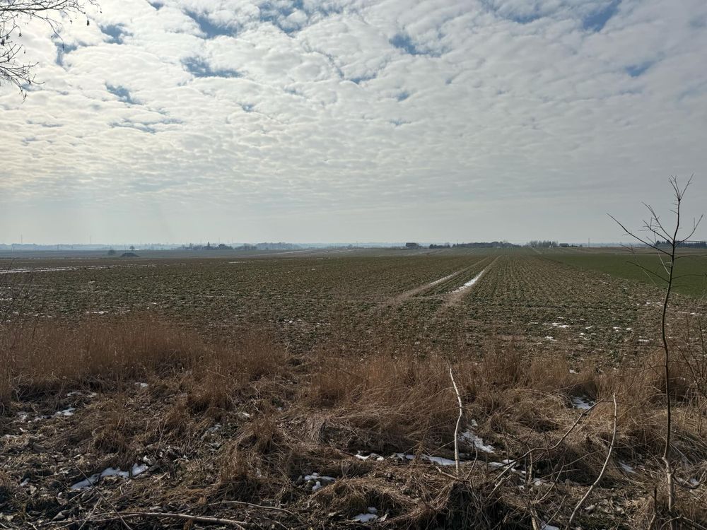Działka budowlana Niemce Włóki. Zdjęcie 3