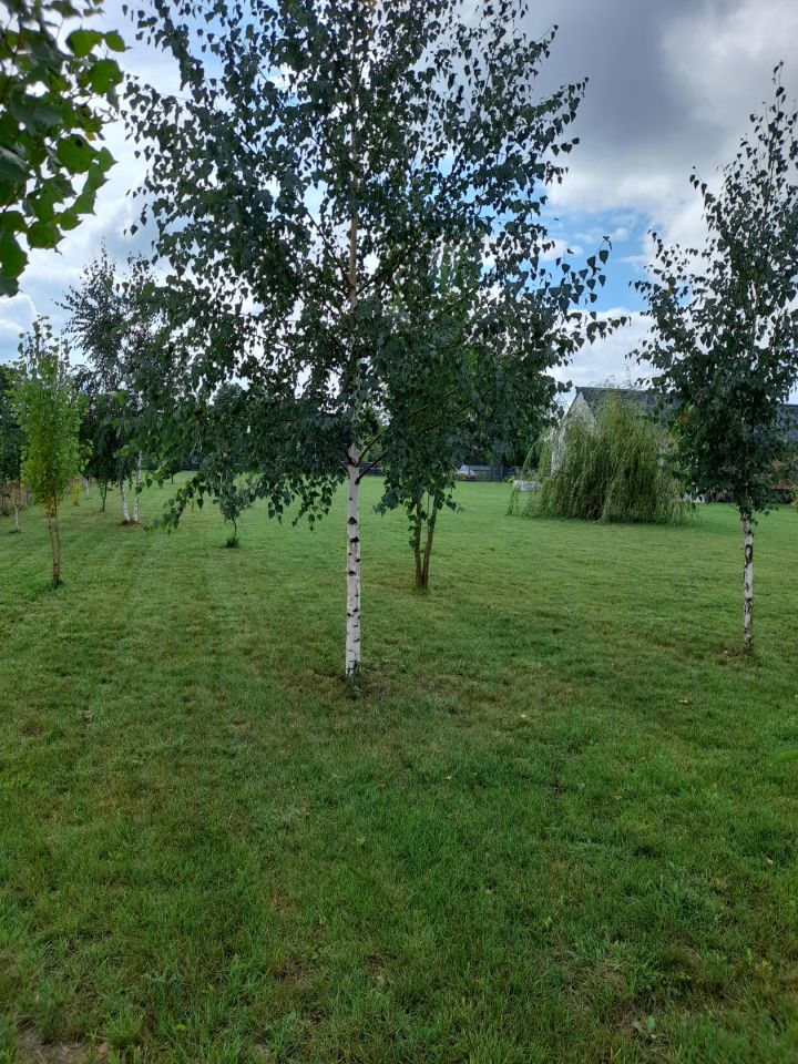 Działka budowlana Cienin Zaborny. Zdjęcie 4