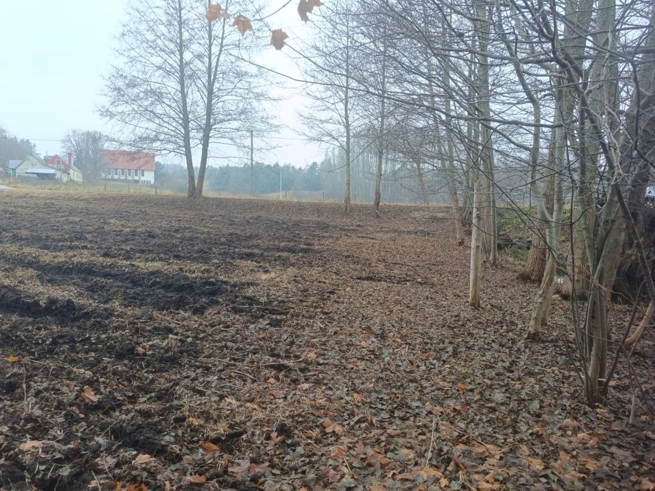 Działka rekreacyjna Kalisz, ul. Jeziorna. Zdjęcie 5