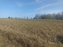 Działka budowlana Smardzewice, ul. Ogrodowa. Zdjęcie 1