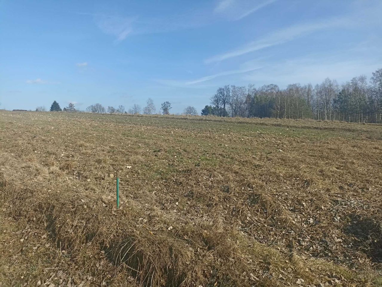 Działka budowlana Smardzewice, ul. Ogrodowa. Zdjęcie 2