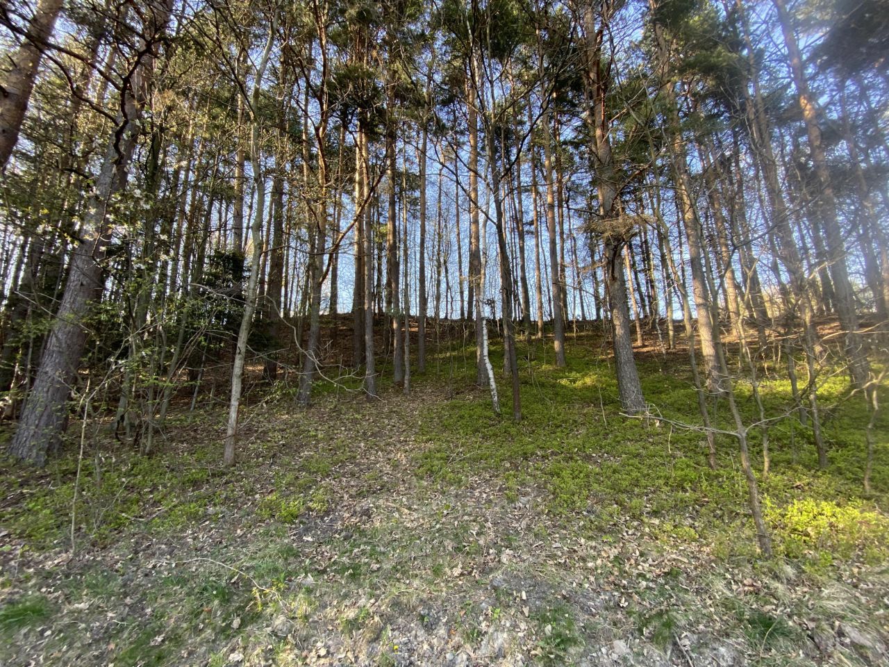 Działka budowlana Harbutowice, ul. Eustachego Sanguszki. Zdjęcie 6