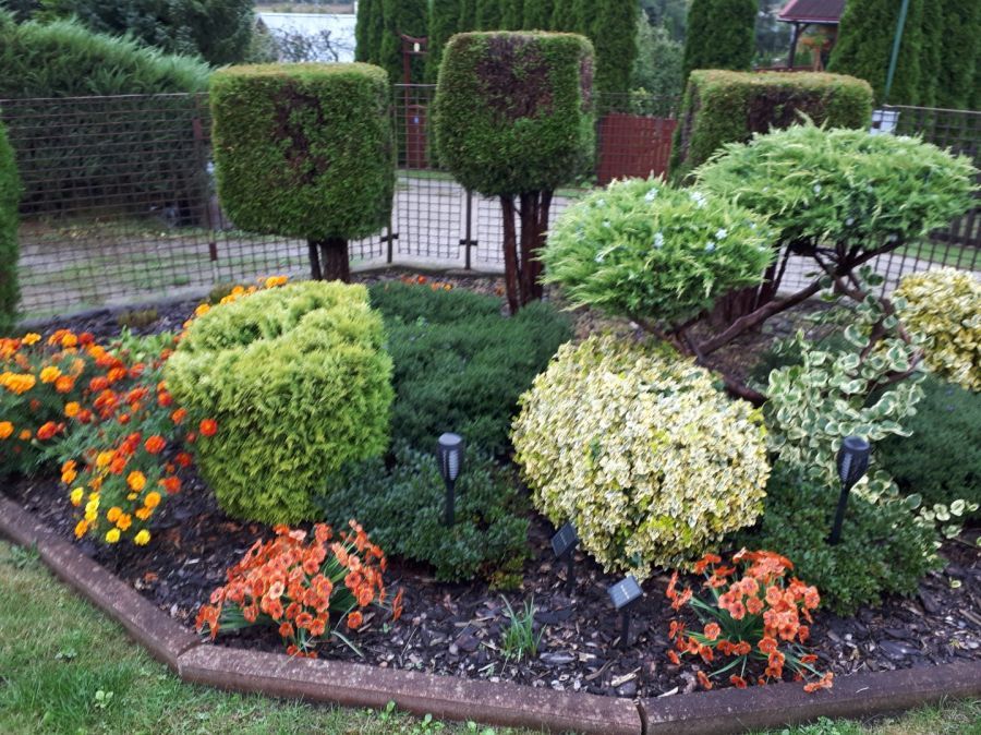 Działka rod Gdańsk Klukowo, ul. Meteorytowa. Zdjęcie 5