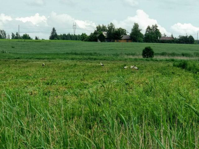 Działka rolna Wólka Nieliska Ruskie Piaski-Stacja. Zdjęcie 1