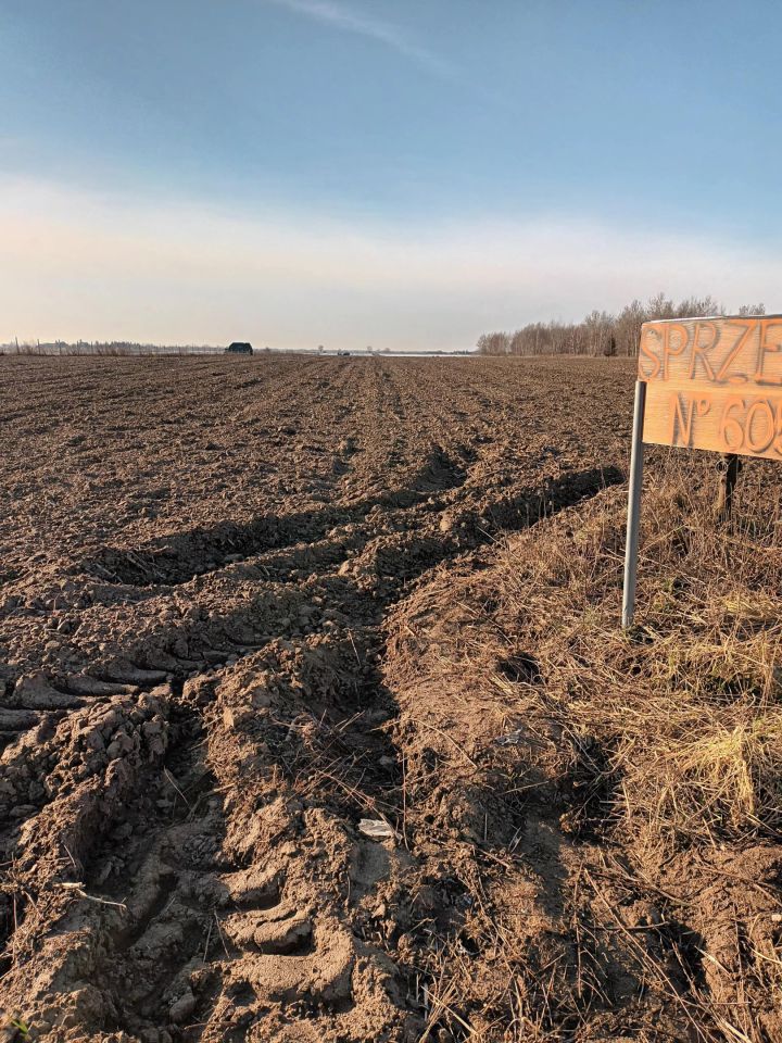 Działka rolno-budowlana Wygoda Smoszewska. Zdjęcie 3