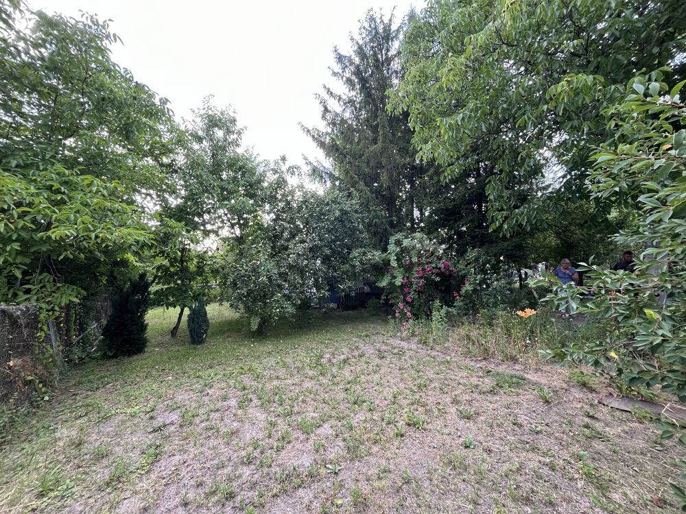 Działka rod Gliwice Sośnica, ul. Dolna. Zdjęcie 6