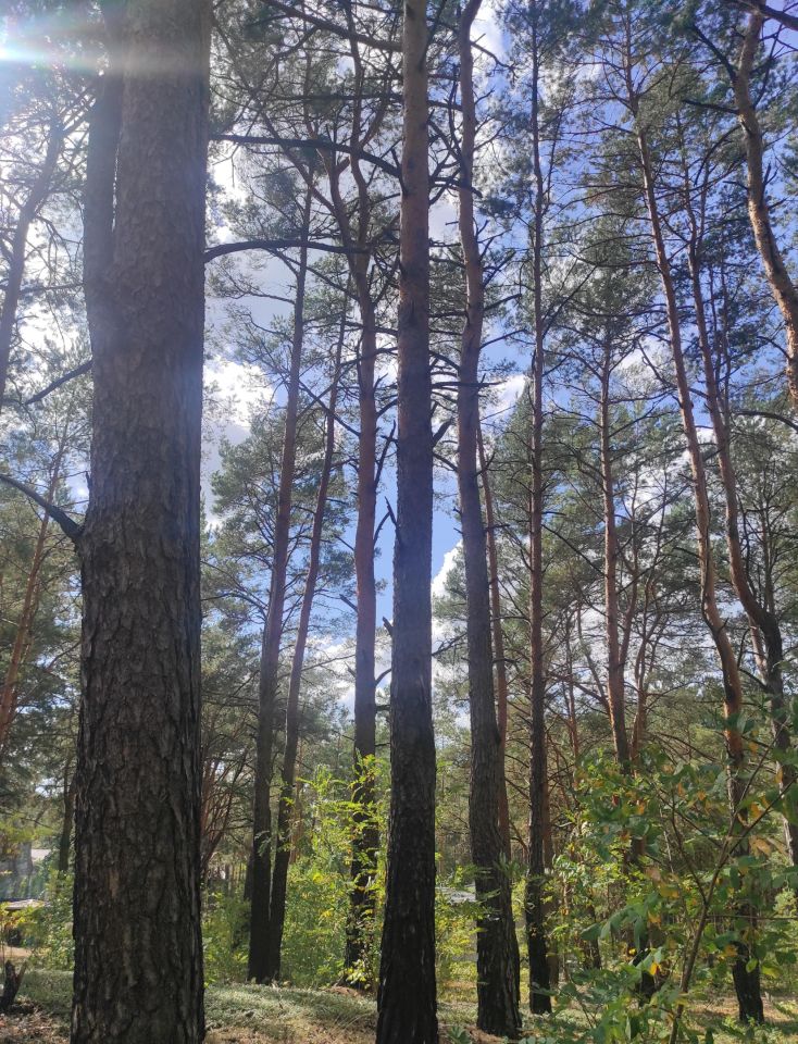 Działka budowlana Radzymin Rejentówka, ul. Letniskowa. Zdjęcie 2
