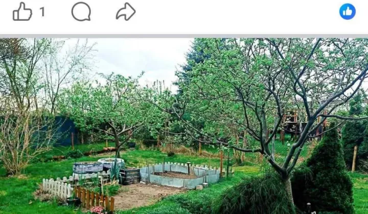 Działka rod Koszalin, ul. Działkowa