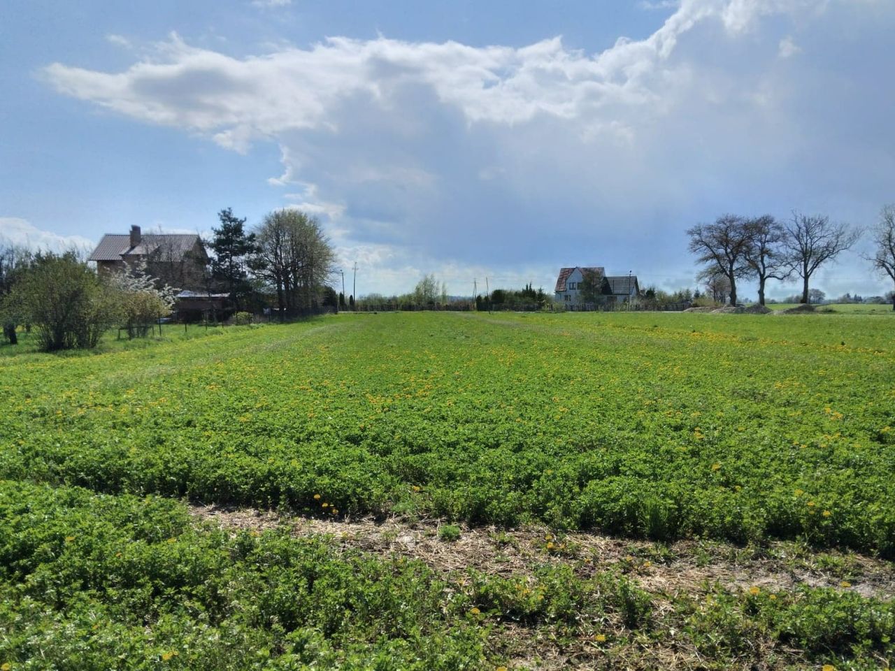 Działka rolno-budowlana Karniewo, ul. Jesionowa. Zdjęcie 3