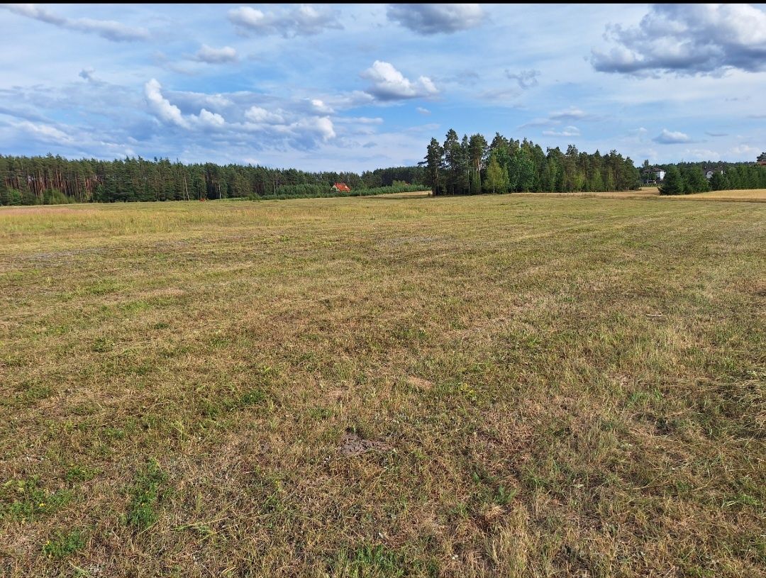 Działka budowlana Danowskie. Zdjęcie 4