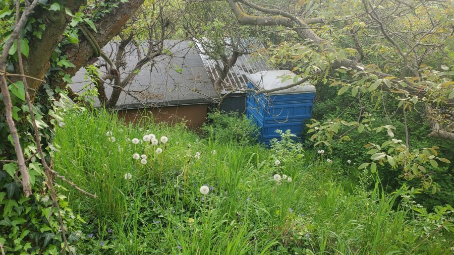 Działka rod Gdańsk. Zdjęcie 5