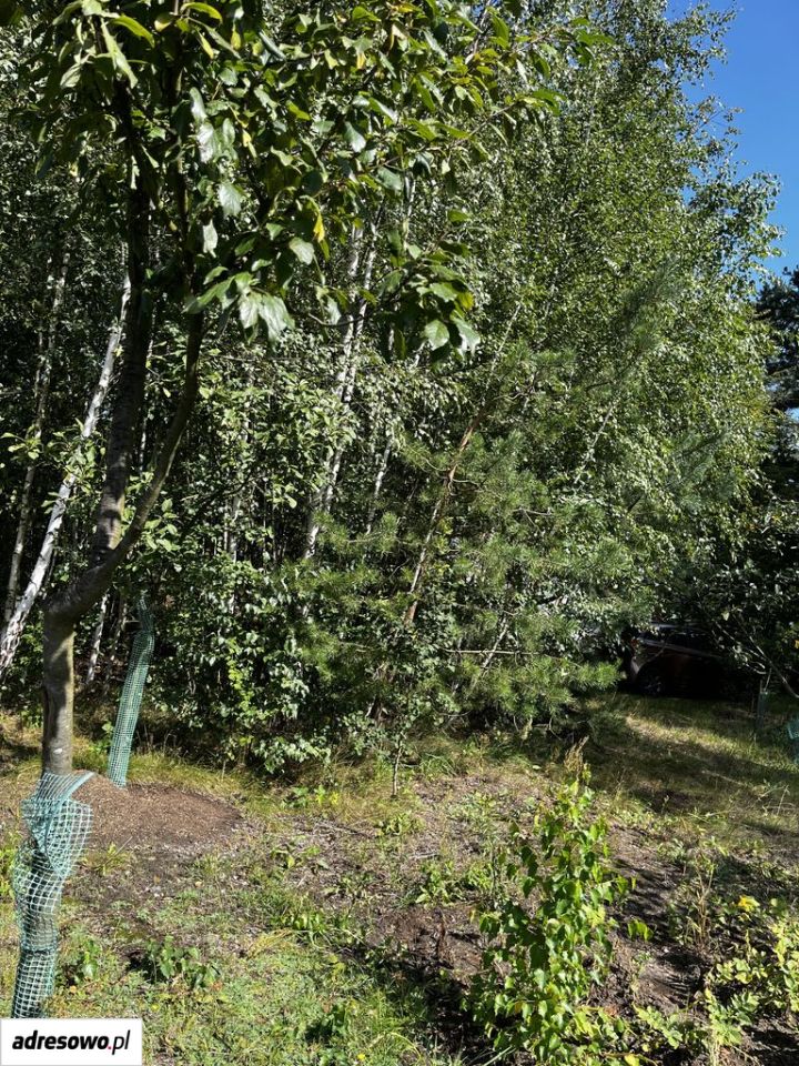 Działka budowlana Mokra Wieś Szymanówek. Zdjęcie 10