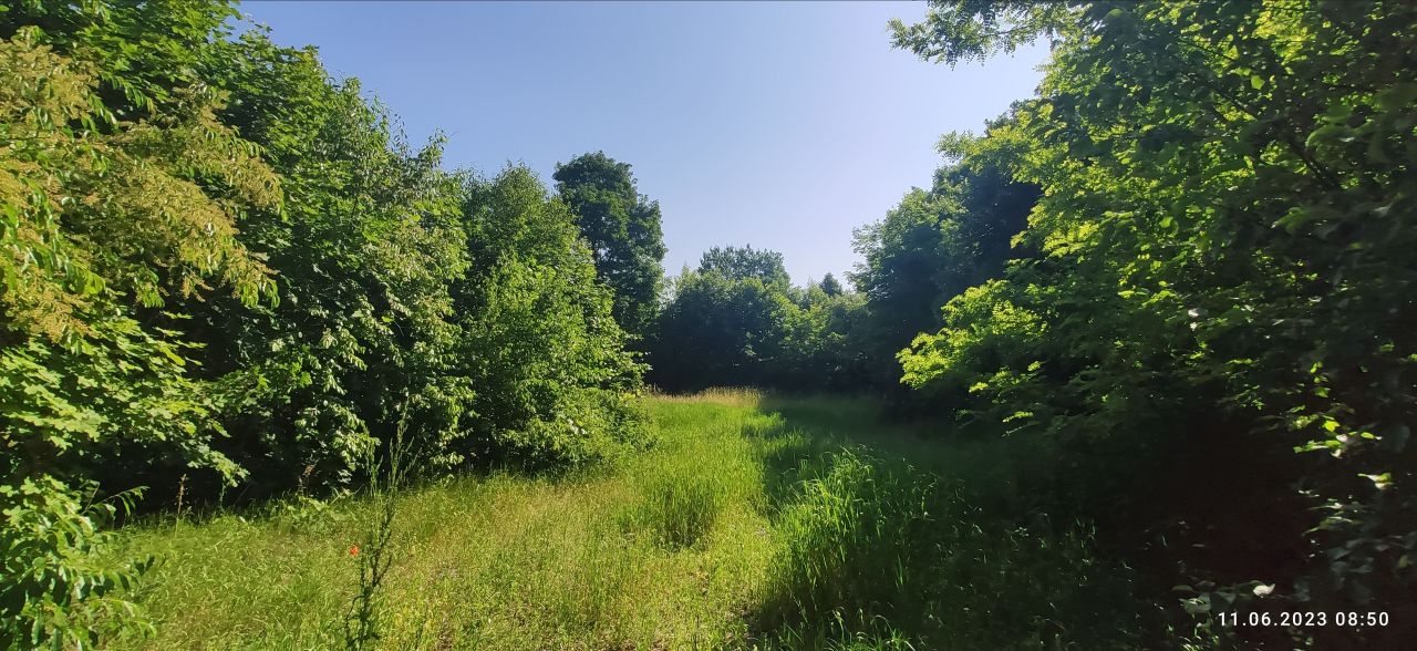 Działka rolno-budowlana Warszawa Białołęka, ul. Jabłoni. Zdjęcie 7