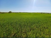 Działka budowlana Osiek Drawski. Zdjęcie 4