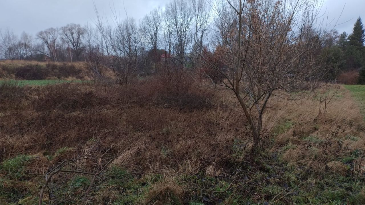 Działka budowlana Targowisko. Zdjęcie 8