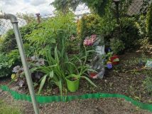 Działka rod Wejherowo. Zdjęcie 4