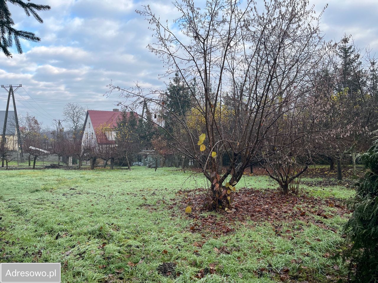 Działka budowlana Wińsko, ul. Rawicka. Zdjęcie 2