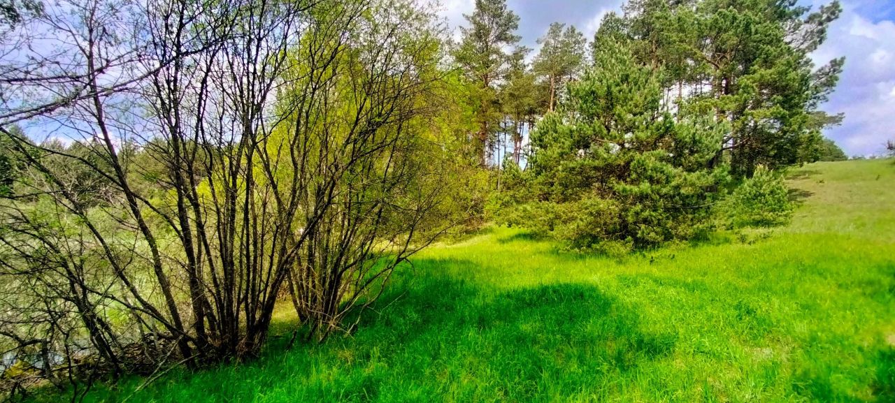 Działka siedliskowa Czarna Woda Lubiki. Zdjęcie 8