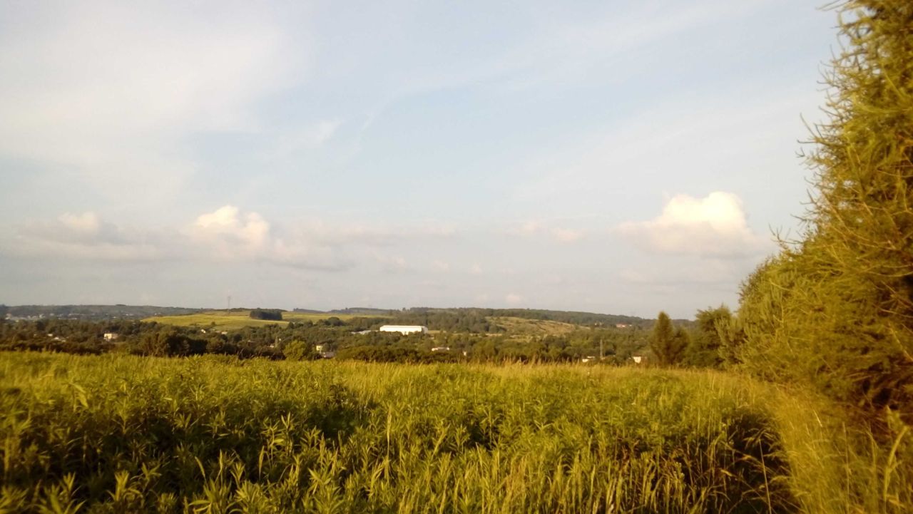 Działka rolno-budowlana Wojkowice Żychcice, ul. Stara