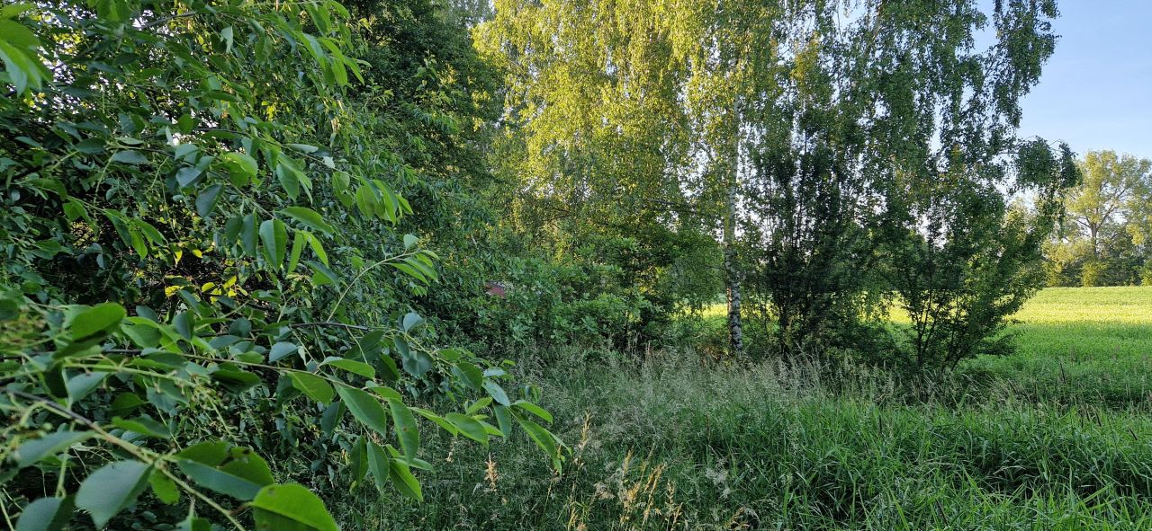 Działka rekreacyjna Prusinowiczki, Prusinowiczki. Zdjęcie 5