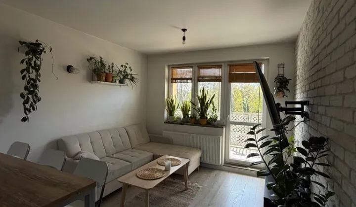 Mieszkanie 3-pokojowe Płock, ul. Kazimierza Wielkiego