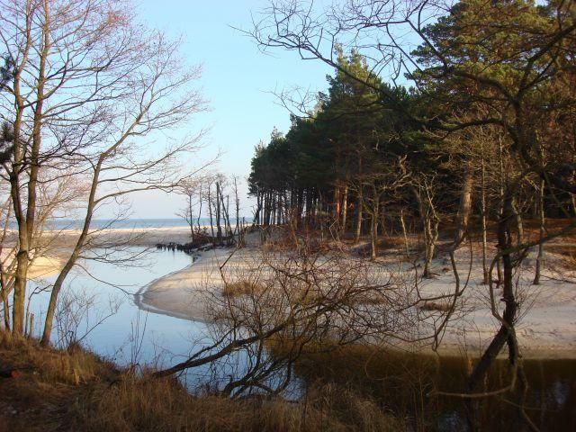 Działka rolna Dębki. Zdjęcie 6