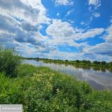 Działka rolna Brzuza. Zdjęcie 1