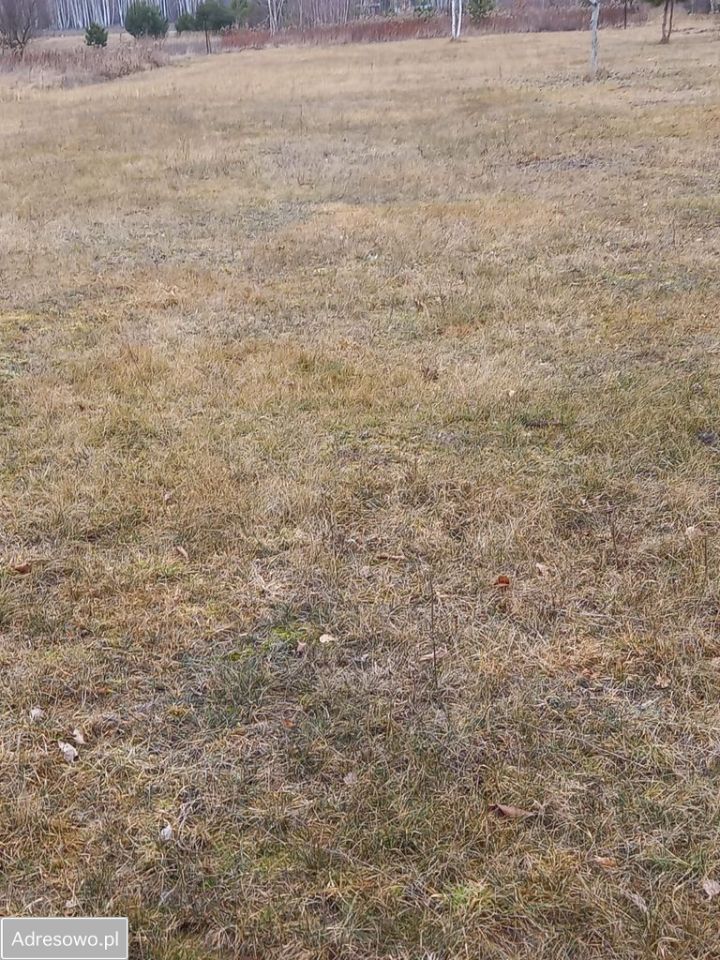 Działka budowlana Uwieliny. Zdjęcie 7