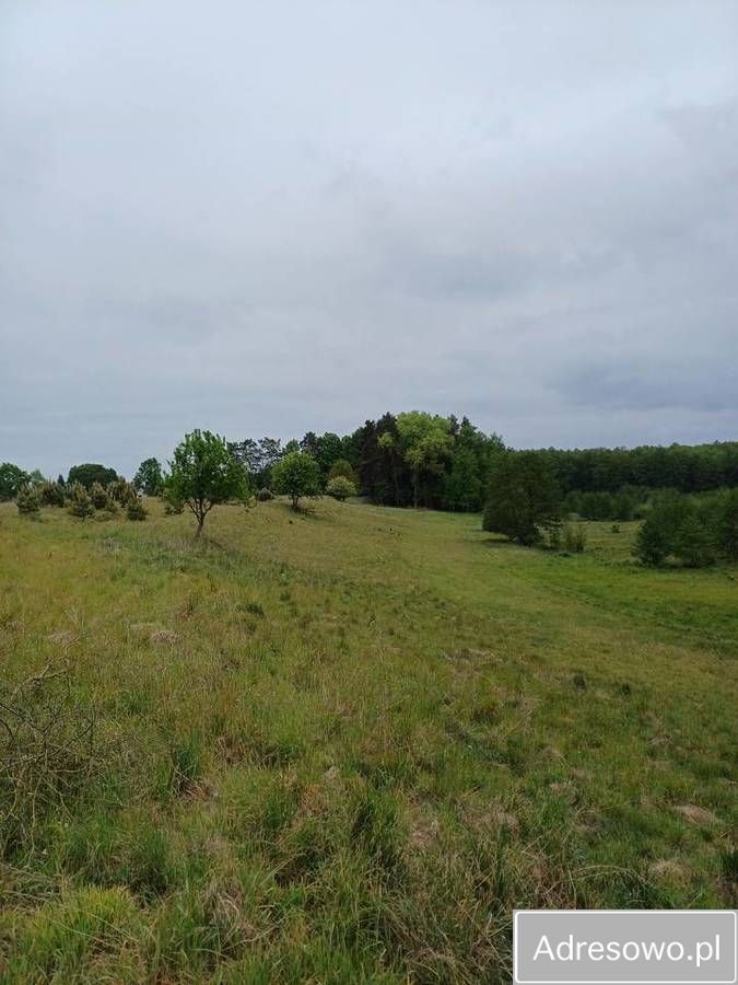 Działka inwestycyjna Kikorze. Zdjęcie 6