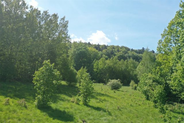 Działka budowlana Piechowice. Zdjęcie 4