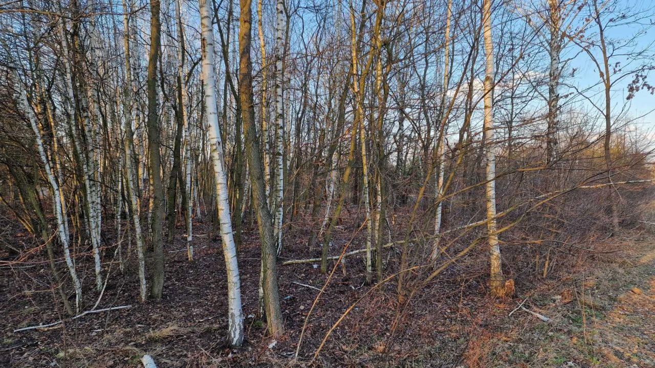 Działka budowlana Milanówek. Zdjęcie 5