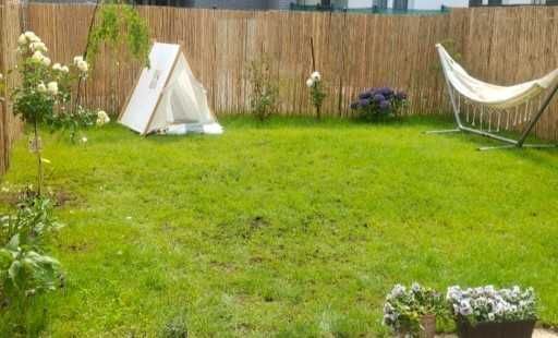 Mieszkanie 2-pokojowe Słubice. Zdjęcie 5