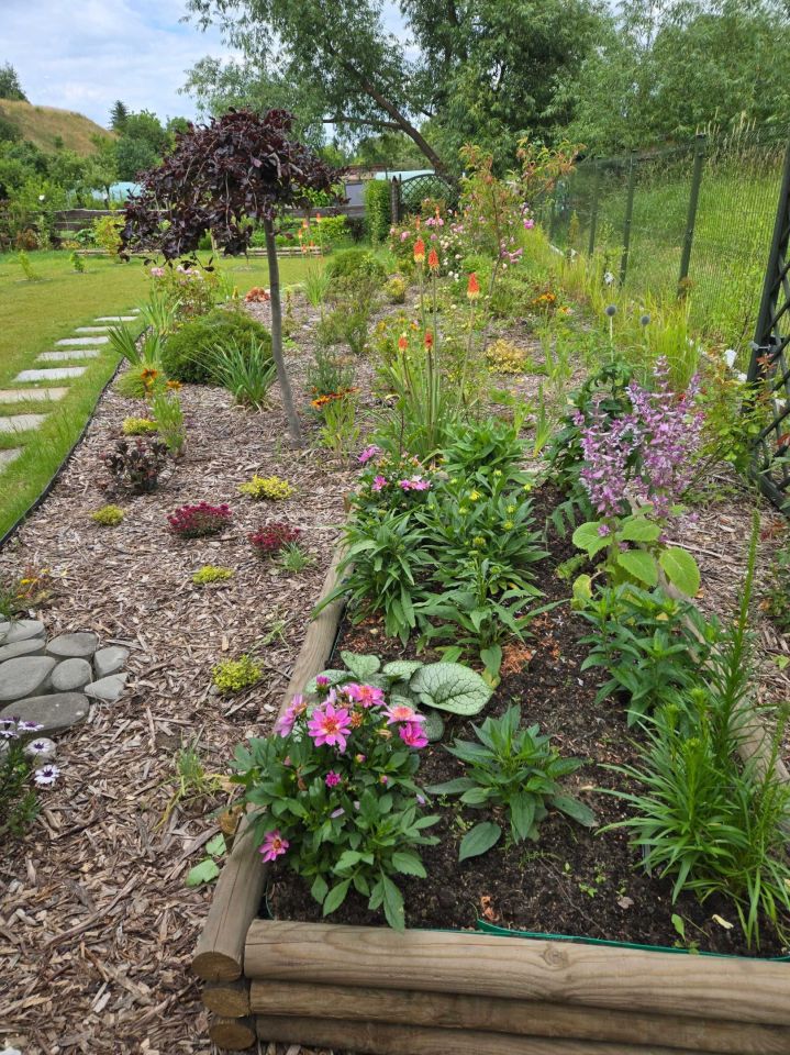 Działka rod Lublin, ul. Zawilcowa. Zdjęcie 2