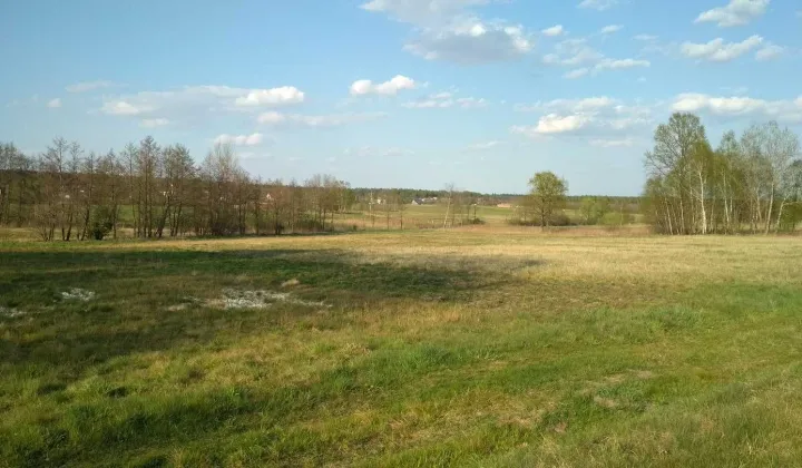 Działka rolna Czerce